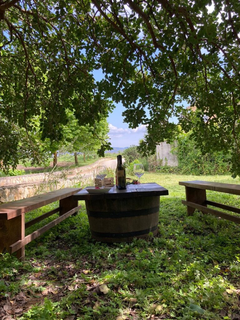 panche in legno con mette al centro con sopra del vino