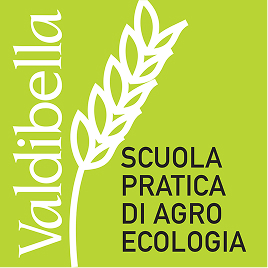 logo SPAE