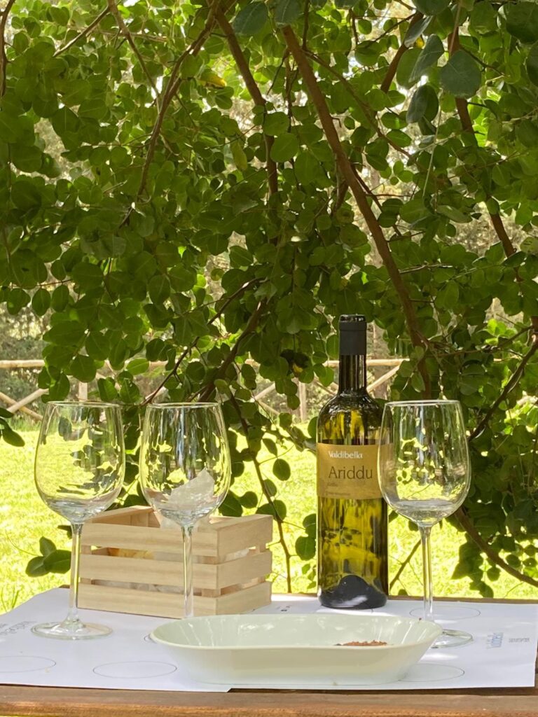 degustazione vino con bottiglia di vino e calici