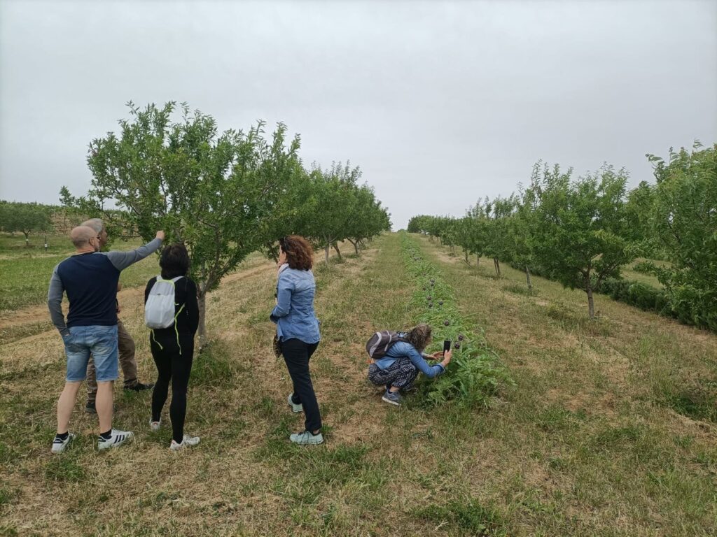 persone in un campo agricolo con alberi