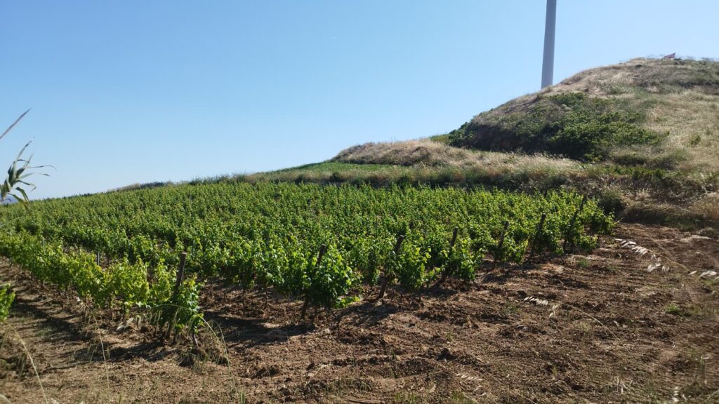 terreno zefira