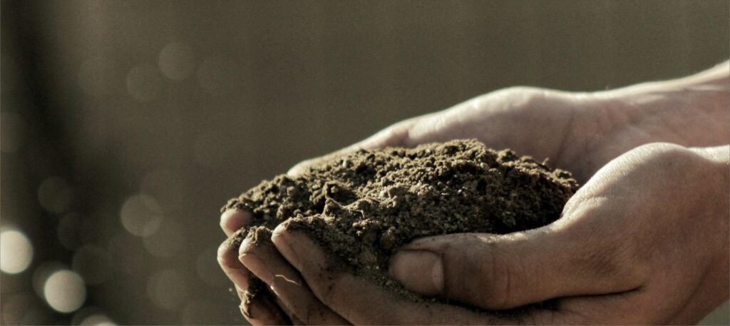 Mani che raccolgono terra, simbolo dell'agroecologia e della cura della terra